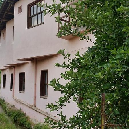 Elmas Pansiyon Karacasu  Luaran gambar